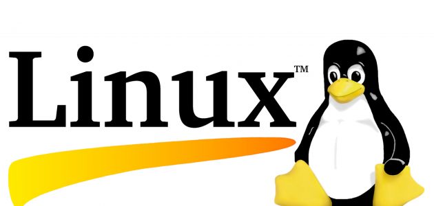 Linux-logo-without-version-number-banner-sized