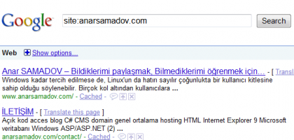 google-hangi-sayfalari-indexlemis