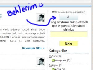 Windows Live Messenger Düğmesi