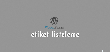 wordpress'te etiket listeleme