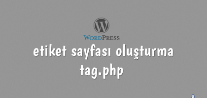 wordpress'te etiket sayfası oluşturma - tag