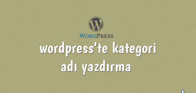 wordpress'te kategori adı yazdırma