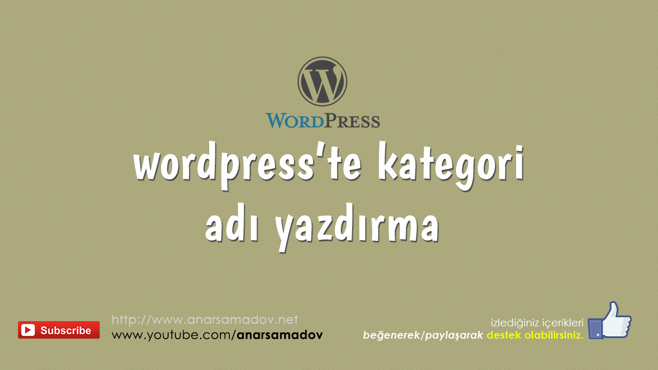 wordpress'te kategori adı yazdırma