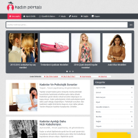 SMDV1 wordpress theme homepage