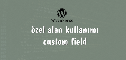 wordpress-ozel-alan-kullanimi-custom-fields