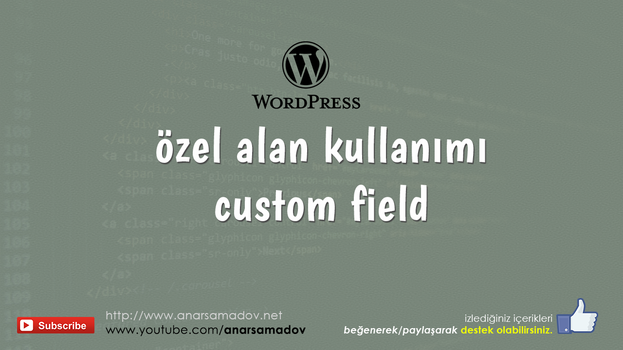 wordpress-ozel-alan-kullanimi-custom-fields