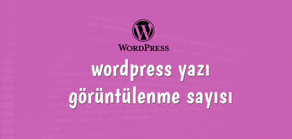 wordpress-yazi-goruntulenme-sayisi