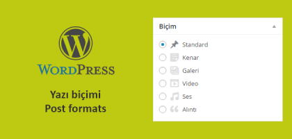 post formats wordpress