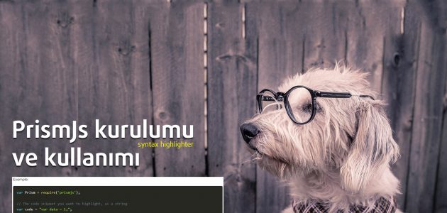 prismJs kurulumu ve kullanımı