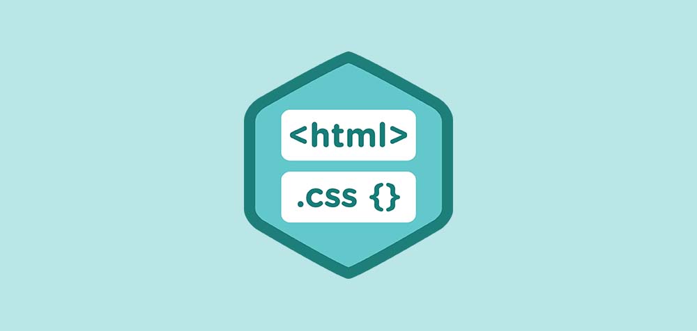 shake animation with css
