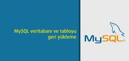 mysql_veritabani_geri_yukleme